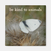 White Butterfly "Be Kind to Animals" Magnet