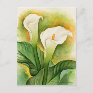 White Cala Lily Floral Wasserfarbe Postkarte