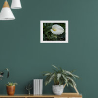 White Calla Lily Aristoteles Philosophisches Zitat