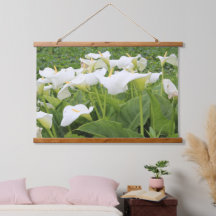 White Calla Lily