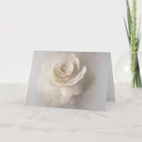 White Camelia-Blume