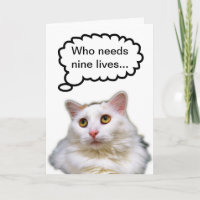 White Cat Birthday Nine Lives