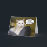 White Cat Brother Birthday Spaß Card Karte<br><div class="desc">Diese Katze sagt es so,  als sei es!</div>