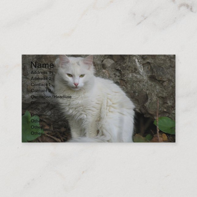 White Cat Business Card Visitenkarte (Vorderseite)