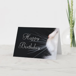 White Cat Design 1 Happy Birthday Grußkarte Karte