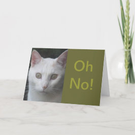 White Cat Foto humorvoll erhalten gut Karte