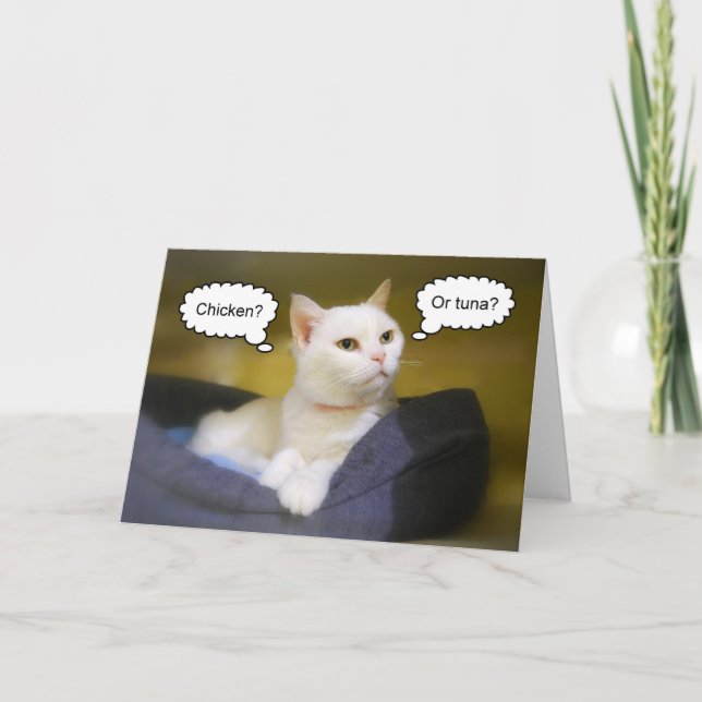 White Cat Funny Birthday Card Karte (Vorderseite)