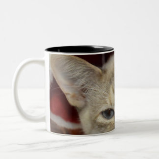 White Cat in Red Christmas Hat Kaffee Tasse
