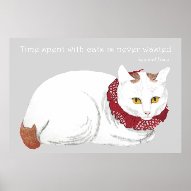 White Cat Poster Print (Vorne)