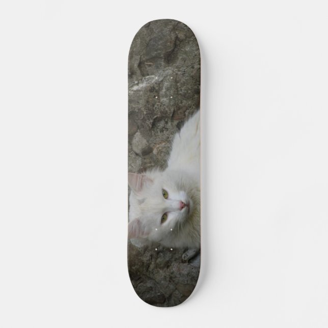 White Cat Skateboard (Vorderseite)