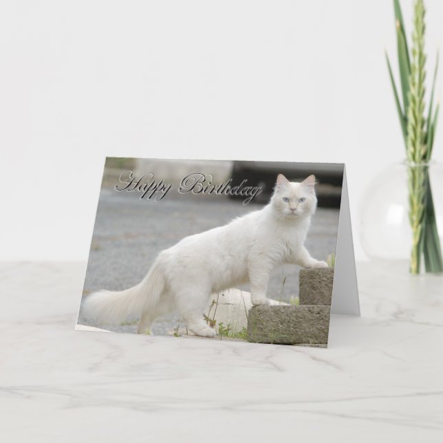 White cat with Happy Birthday Karte (Vorderseite)