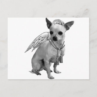 White Chihuahua Angel Wings Postkarte