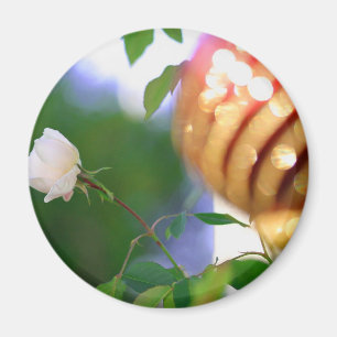 White Christmas Rose Magnet