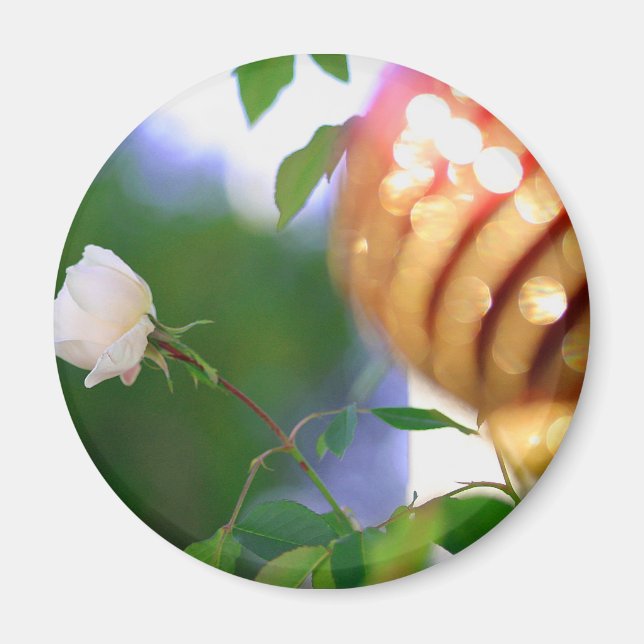 White Christmas Rose Magnet (Vorne)