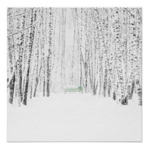 White Christmas Tale Poster