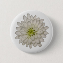 White Chrysantheman Button