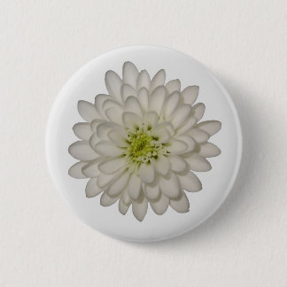 White Chrysantheman Button