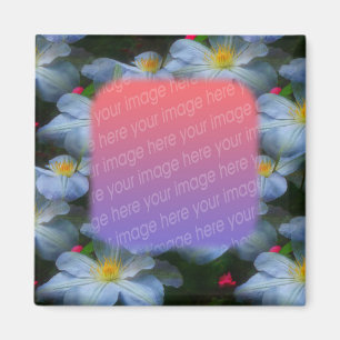 White Clematis Blume Ihr Foto Magnet