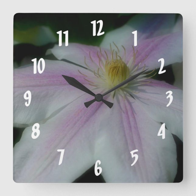 White Clematis Flower Petals Quadratische Wanduhr (Vorderseite)