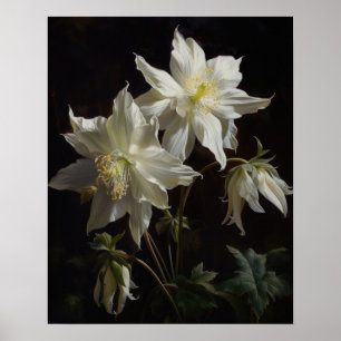White Columbine Blumen Art Print Poster