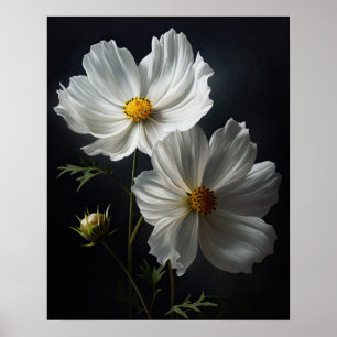 White Cosmos Blume Art Print Poster