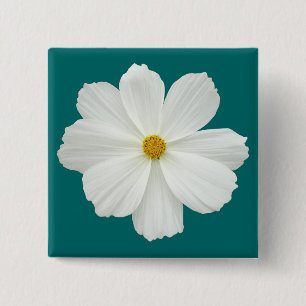 White Cosmos-Blume Button