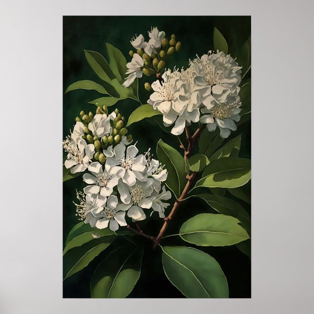 White Crepe Myrtle Blume Art Print Poster (Vorne)