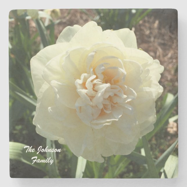 White Daffodil Passen Sie Ihre Familie an Steinuntersetzer (Vorderseite)