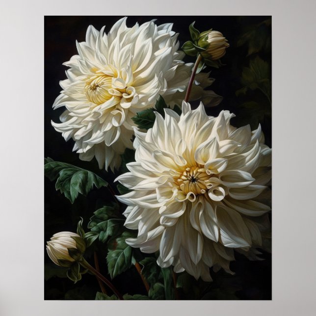 White Dahlia Blume Art Print Poster (Vorne)