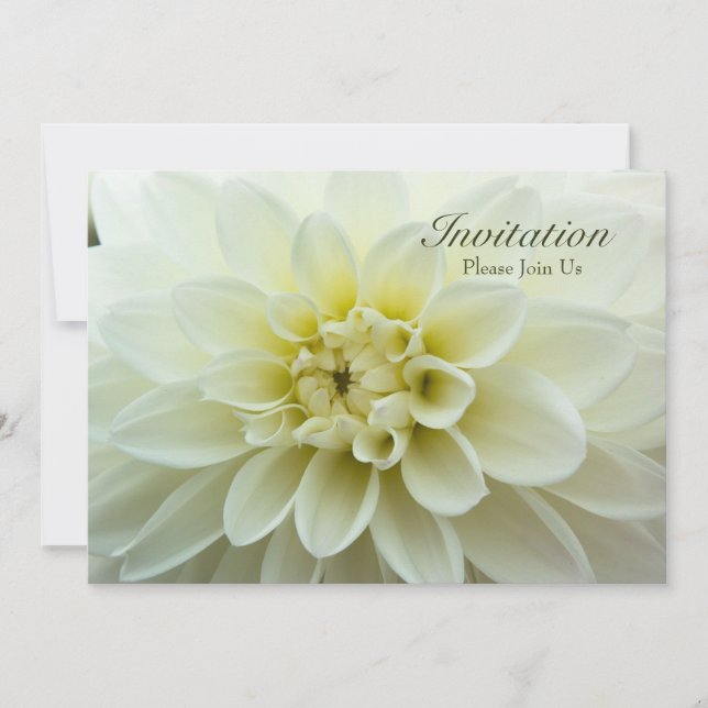 White Dahlia ・ Probe Dinner Einladung (Vorderseite)