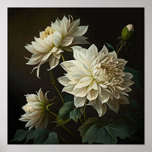 White Dahlias Blume Art Print Poster