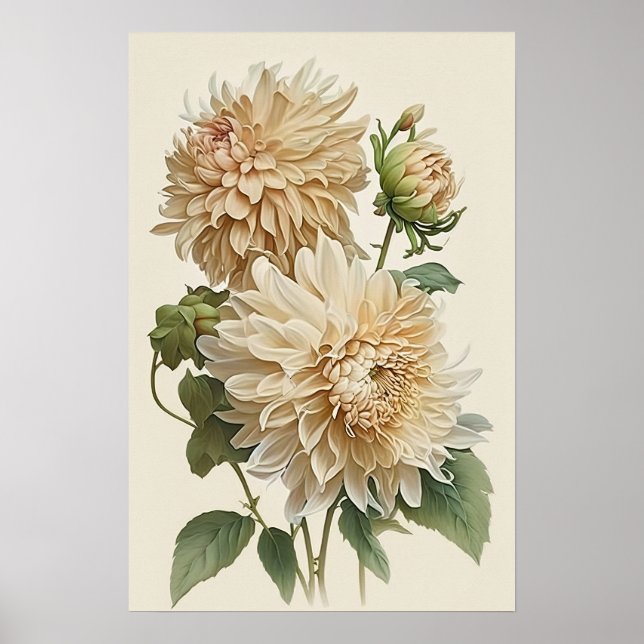 White Dahlias Blume Art Print Poster (Vorne)