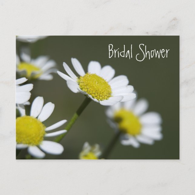 White Daisies Bridal Shower Invitation (Devant)
