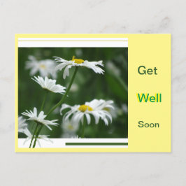 White Daisies Collage Cust. Schnelle Postkarte