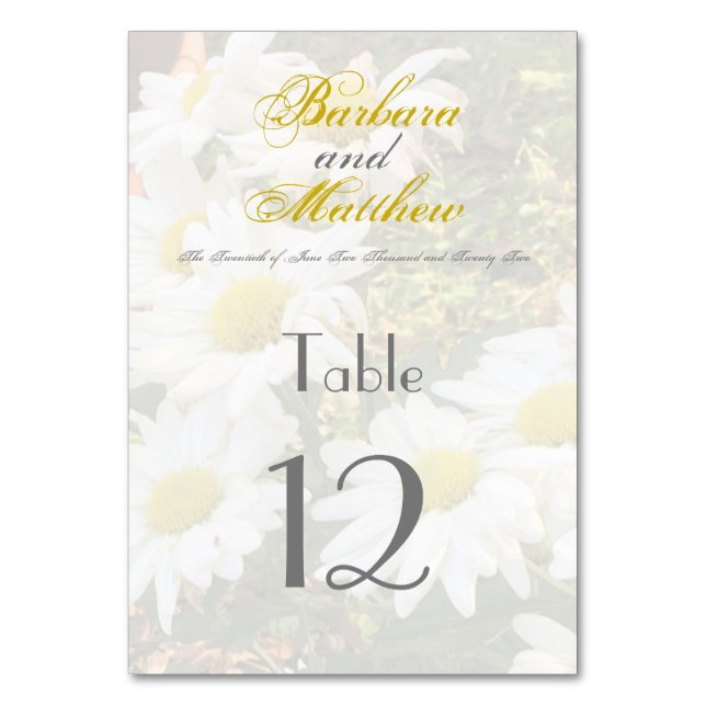 White Daisies Gelb und Gray Script Elegant Tischnummer (Vorderseite)