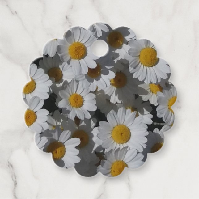 White Daisies Geschenkanhänger (Vorderseite)