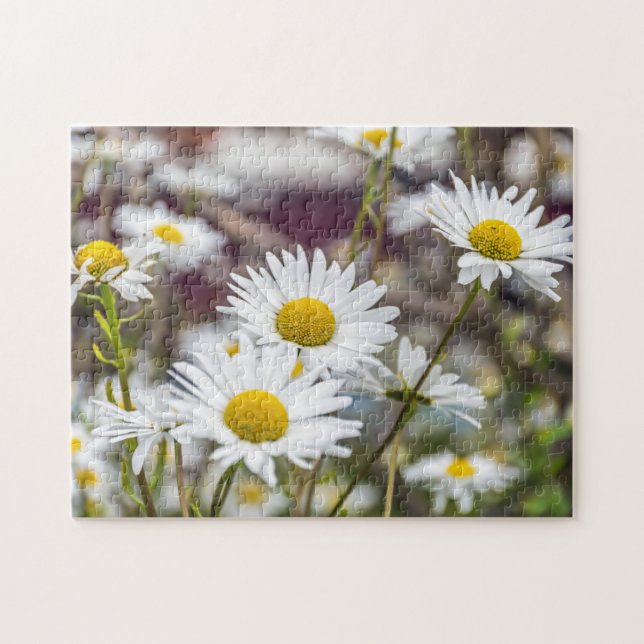 White daisies puzzle (Horizontal)