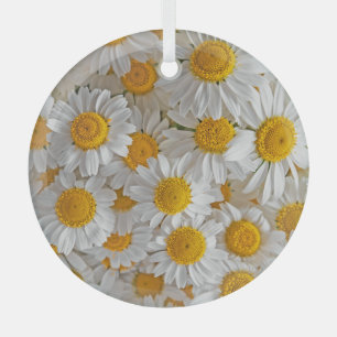 White Daisis: Schöner Blumenhintergrund Ornament Aus Glas