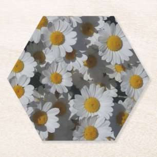 White Daisisis Paper Untersetzer