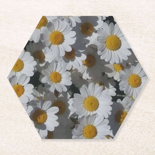 White Daisisis Paper Untersetzer (Vorderseite)