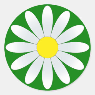 White Daisy auf Green Classic Round Sticker