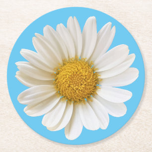 White Daisy auf Sky Blue Background Runder Pappuntersetzer