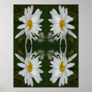 White Daisy Blume Abstrakt Poster