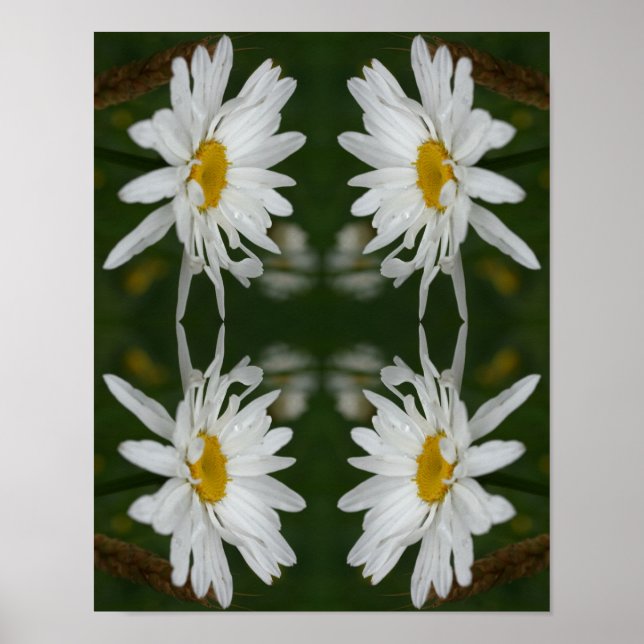 White Daisy Blume Abstrakt Poster (Vorne)