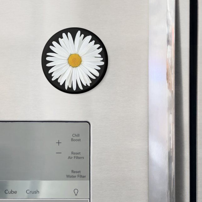 White Daisy Blume auf Black Floral Magnet (In Situ (Kühlschrank))