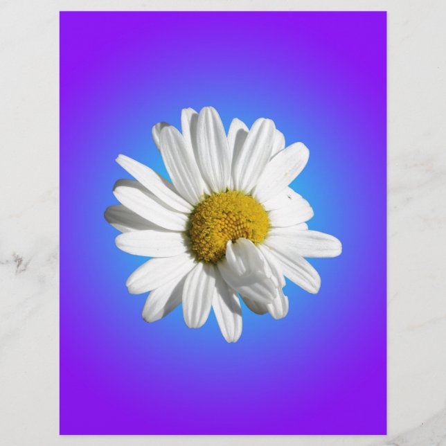 White Daisy Blume Bloral Lila Blue Gradient (Vorderseite)