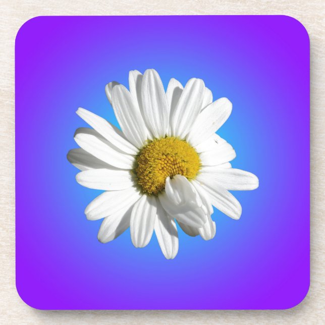 White Daisy Blume Bloral Lila Blue Gradient Getränkeuntersetzer (Vorderseite)