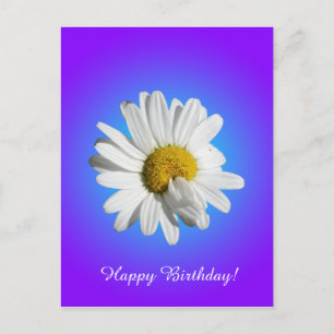 White Daisy Blume Bloral Lila Blue Gradient Postkarte