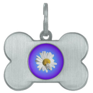 White Daisy Blume Bloral Lila Blue Gradient Tiermarke