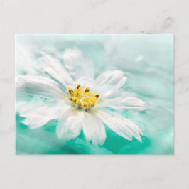White Daisy Blume Blue Water Pond Aqua Türkis Postkarte